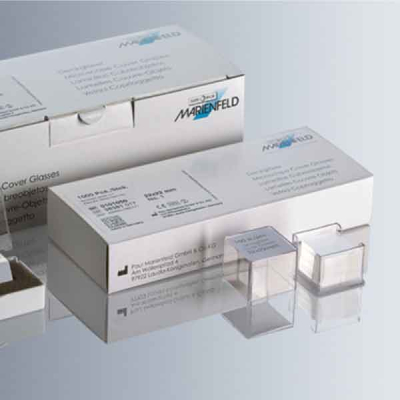 Cubre Objeto Marienfeld (Germany)