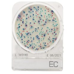 Placas lista para usar Compact Dry EC (Escherichia coli y coliformes) x 100 unidades.