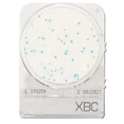 Placas lista para usar Compact Dry XBC (Bacillus cereus) x 100 unidades.