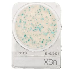 Placas lista para usar Compact Dry X-SA (Staphylococcus aureus) x 100 unidades.
